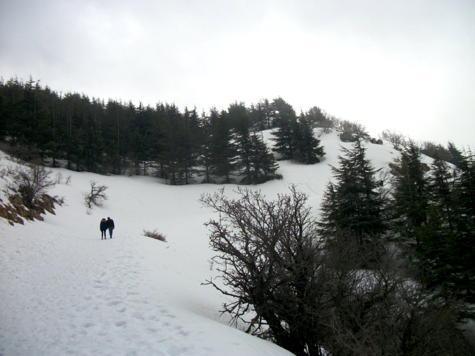 Réserve naturelle du Chouf neige 08