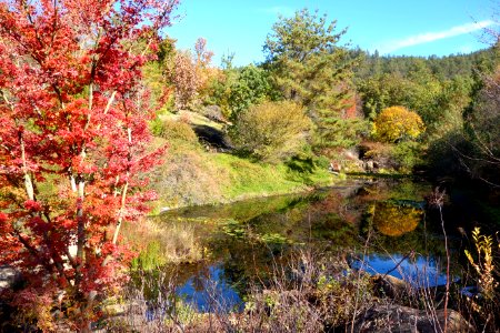 Quarryhill Botanical Garden - DSC03680