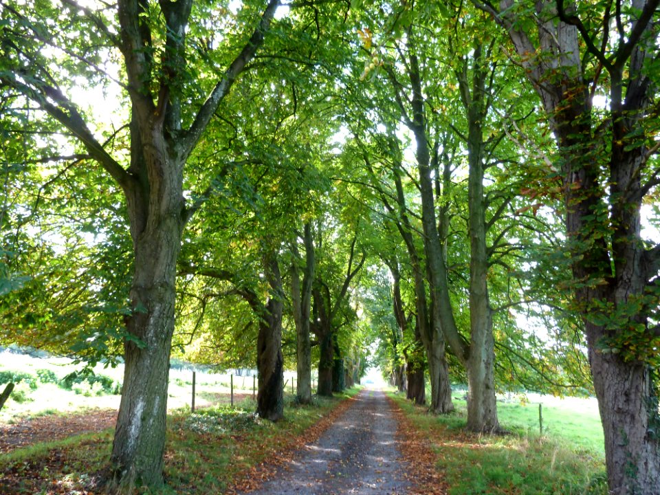 Raeren-Knoppenburg (3)