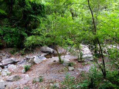 Quebrada de San Lorenzo trail 2