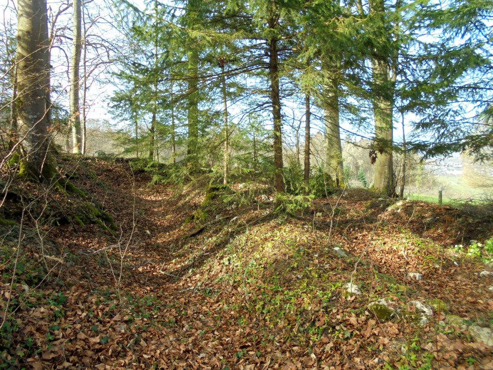 Römische Villa Wahlen 1