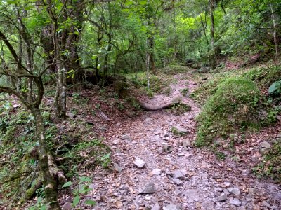 Quebrada de San Lorenzo trail 1