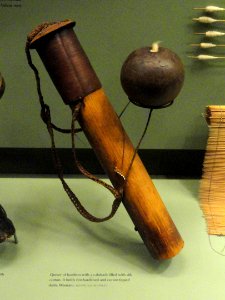 Quiver, bamboo, and calabash with silk cotton, Huaorani - AMNH - DSC06188