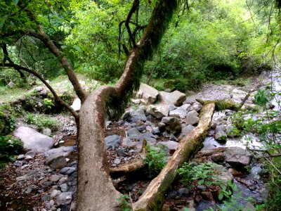 Quebrada de San Lorenzo trail 3