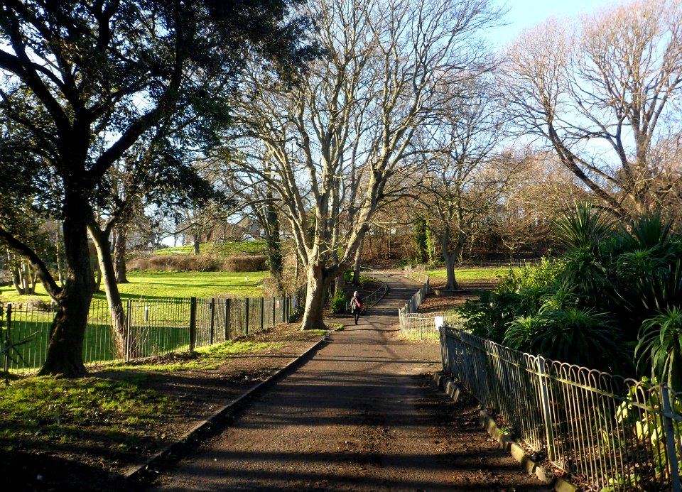 Queen's Park, Brighton (January 2014) (1)