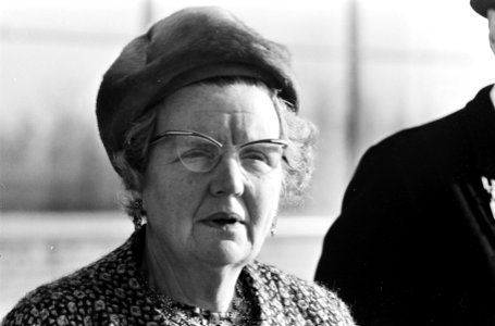 Portret van koningin Juliana, Bestanddeelnr 920-8414