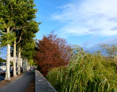 Quai de la Mégisserie en soirée