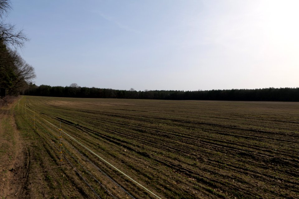 Parforceheide Wüste Mark 2021-02-24 05