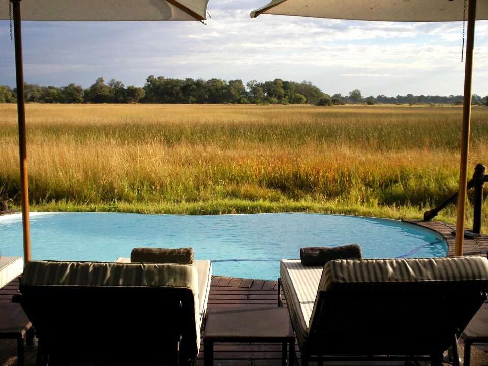 Safari nature wilderness