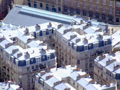 Paris Roofs photo