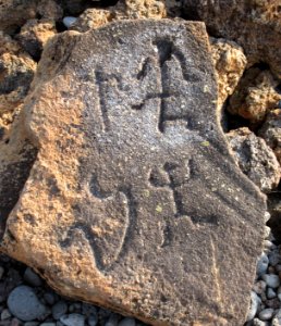 Petroglyphs in Puako Petroglyph Archaeological District1380
