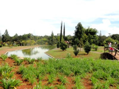 Pond - Jardim Botânico de Brasília - DSC09771