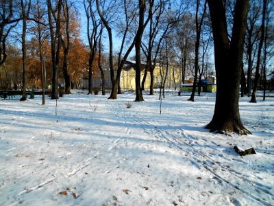 Parcul Andrieș, Bălți (3)