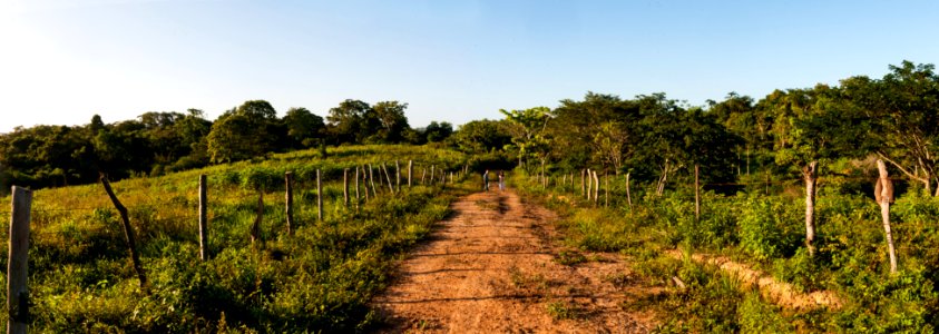 Panoramica de Finca en Chaguaramal, Estado Miranda