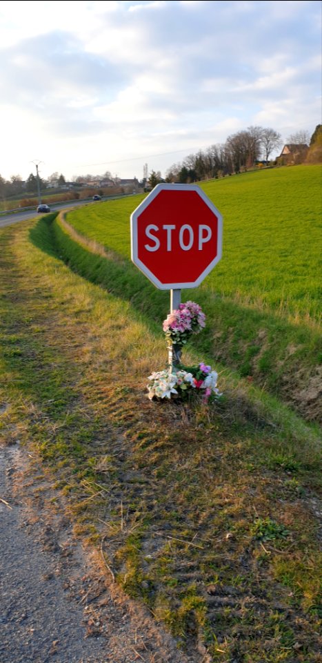 Panneau de stop fleuri