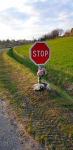 Panneau de stop fleuri
