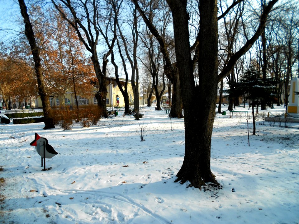 Parcul Andrieș, Bălți (1)