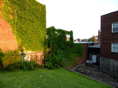 Pittsburgh-30