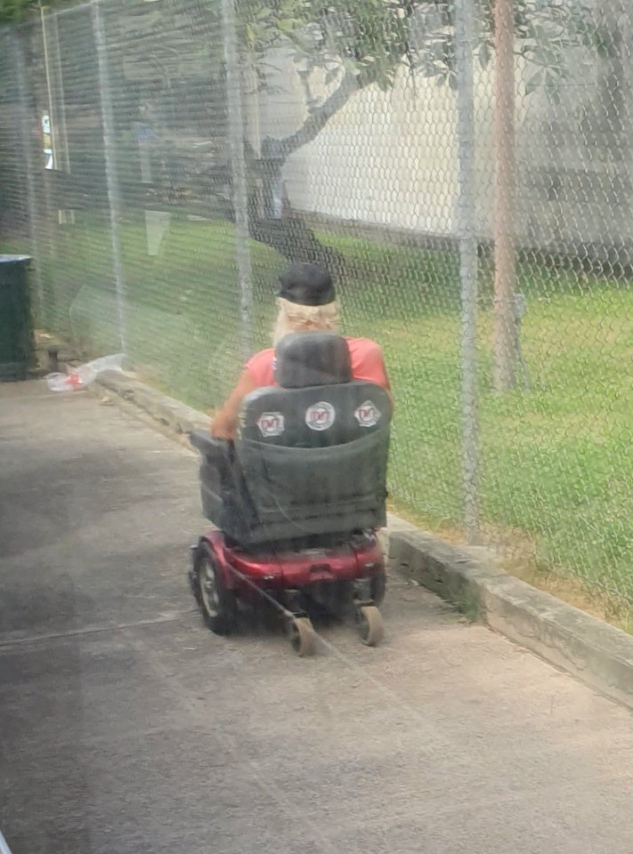 Person with "Protect Mauna Kea" and "No TMT" stickers, in Kaneohe