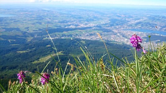 The beauty of the mountains grass switzerland
