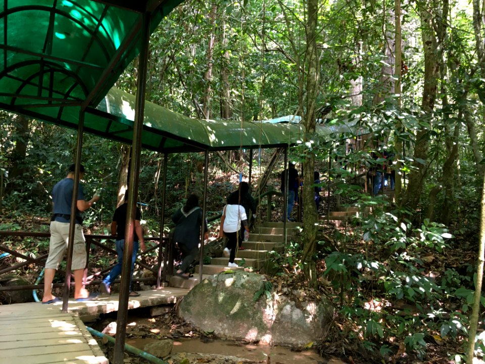 Piyamit Tunnels 8