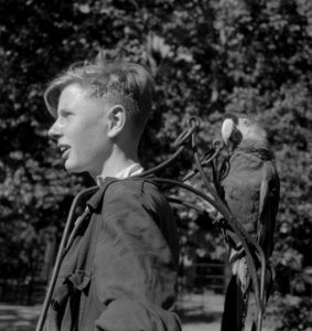 Papagaai-dragers in Artis, Bestanddeelnr 904-6782