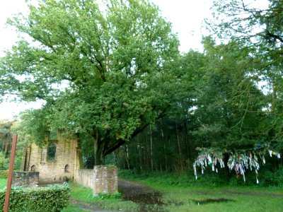 Overasselt-Sint Walrickkapel (3)