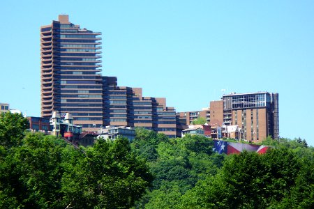 Pittsburgh Mount Washington 2019-05-23 Trimont 01