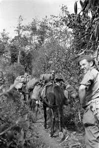 Patjet-Batoe. Langs smalle bergpaadjes gaat de infanterie vooruit, steeds hoger , Bestanddeelnr 4556