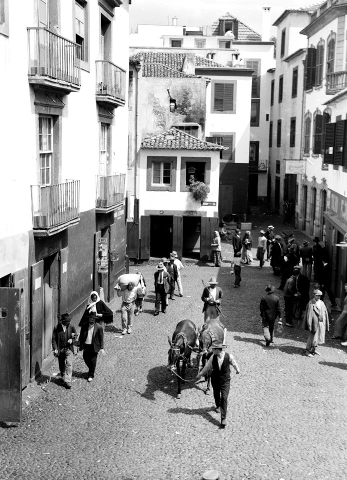 Ossenkar in een straat op het eiland Madeira, Bestanddeelnr 252-1257