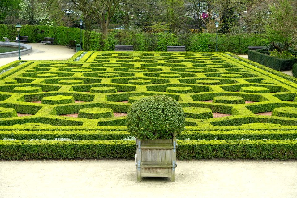 Parterre - Botanical Garden of Brussels - Brussels, Belgium - DSC06739