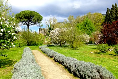 Path - Giardino di Ninfa, Italy - DSC03017 photo