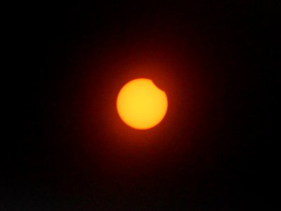 Partial eclipse in Clayton, GA 112pm Aug 21 2017 photo
