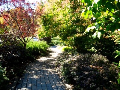 Pathway and walkway at the Frelinghuysen Arboretum photo