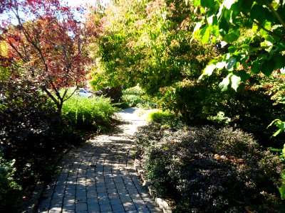 Pathway and walkway at the Frelinghuysen Arboretum