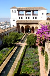 Patio de la Acequia (Generalife) - DSC07858