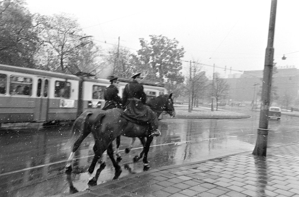 Patrouillerende agenten te paard, Bestanddeelnr 919-7548