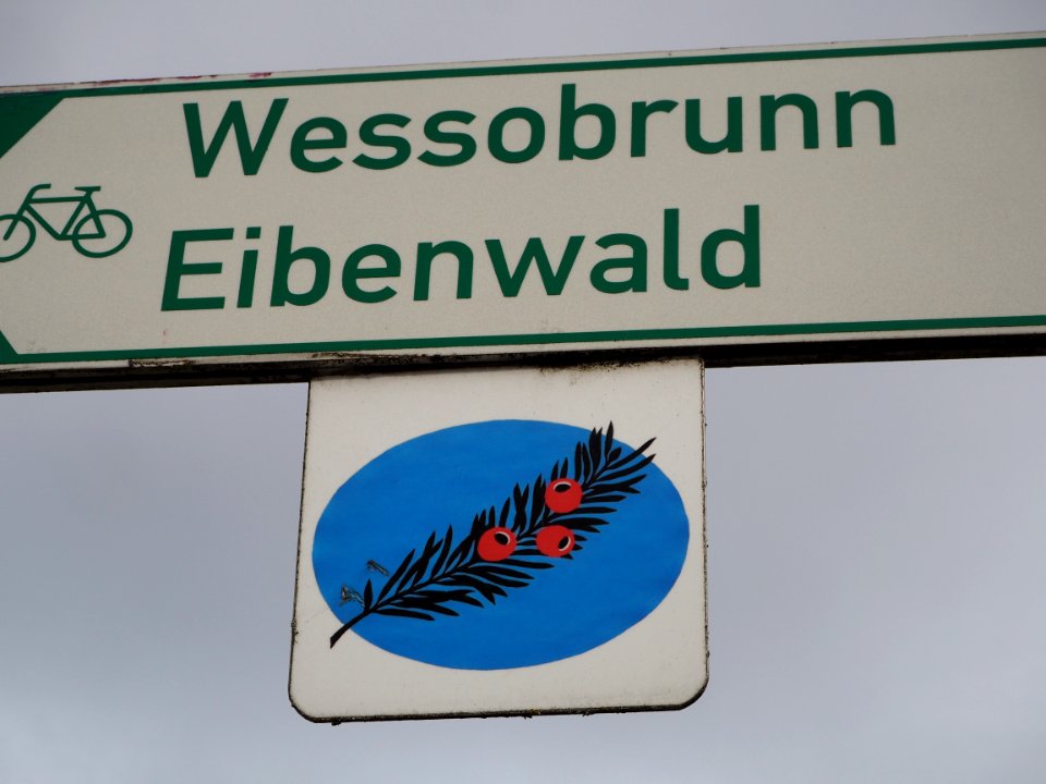 Paterzeller Eibenwald Schild (02)