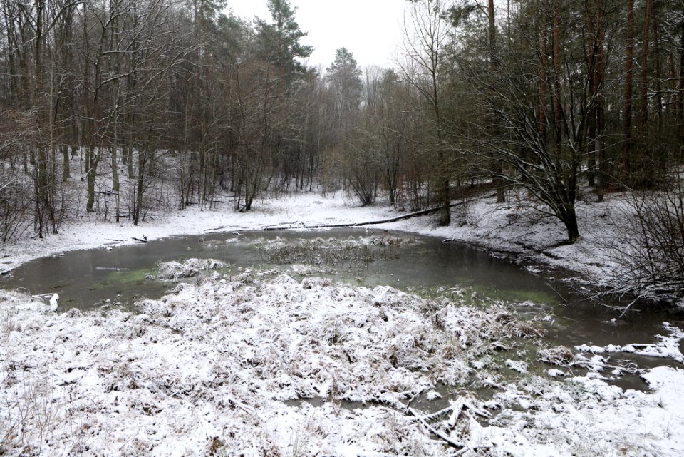 Pool at the Barssee und Pechsee nature reserve with snow 2021-01-03 02