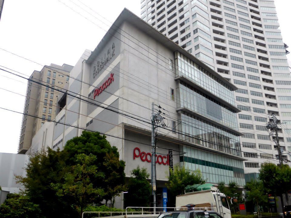PEACOCK STORE DOJIMA CROSSWALK store