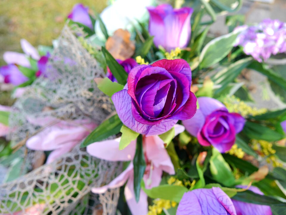 Leaf floral flowers