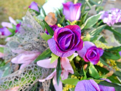 Leaf floral flowers