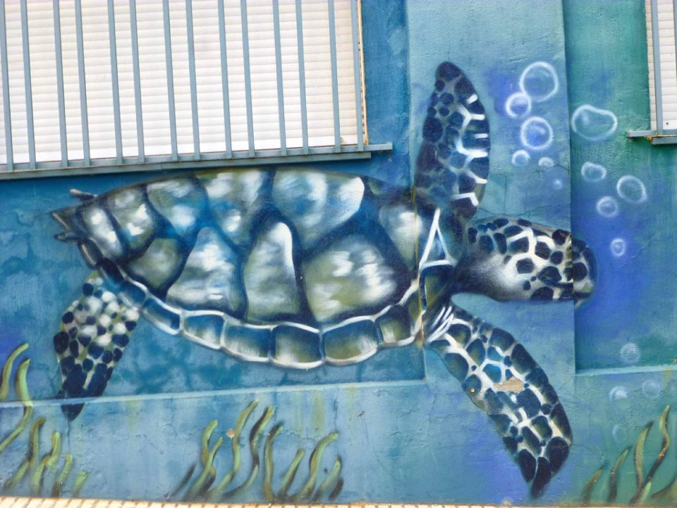 Ponferrada - graffiti & murals 28