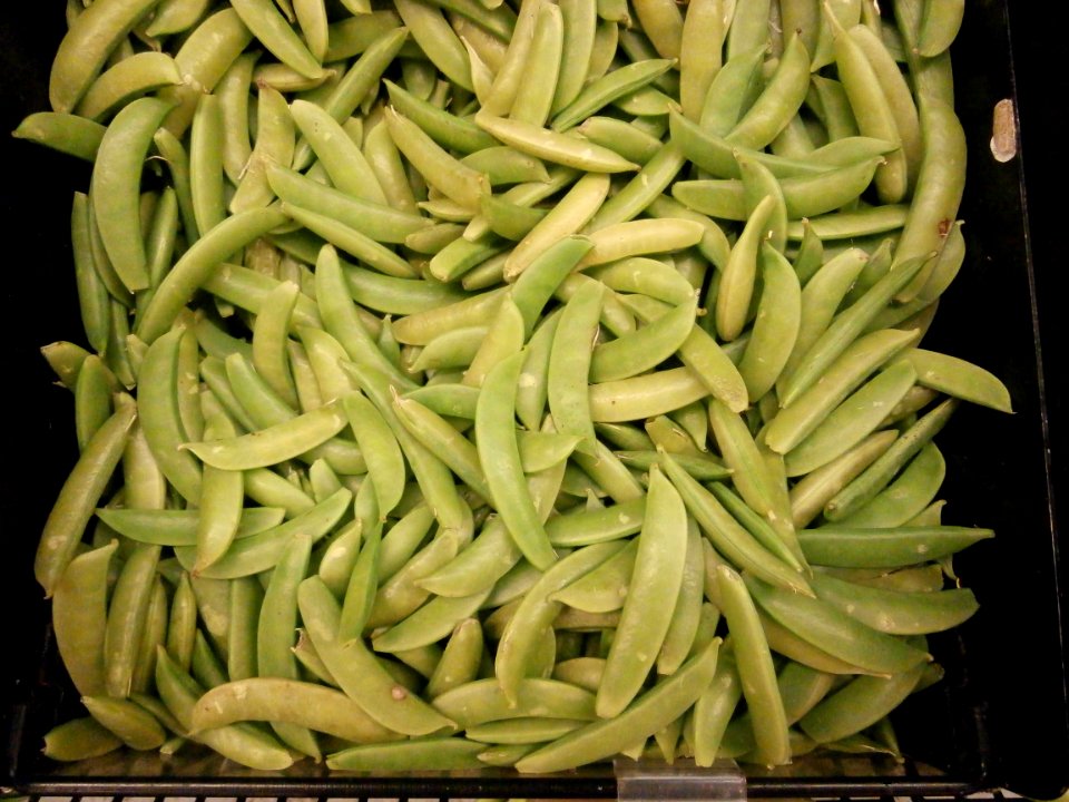Peas in pods in bin