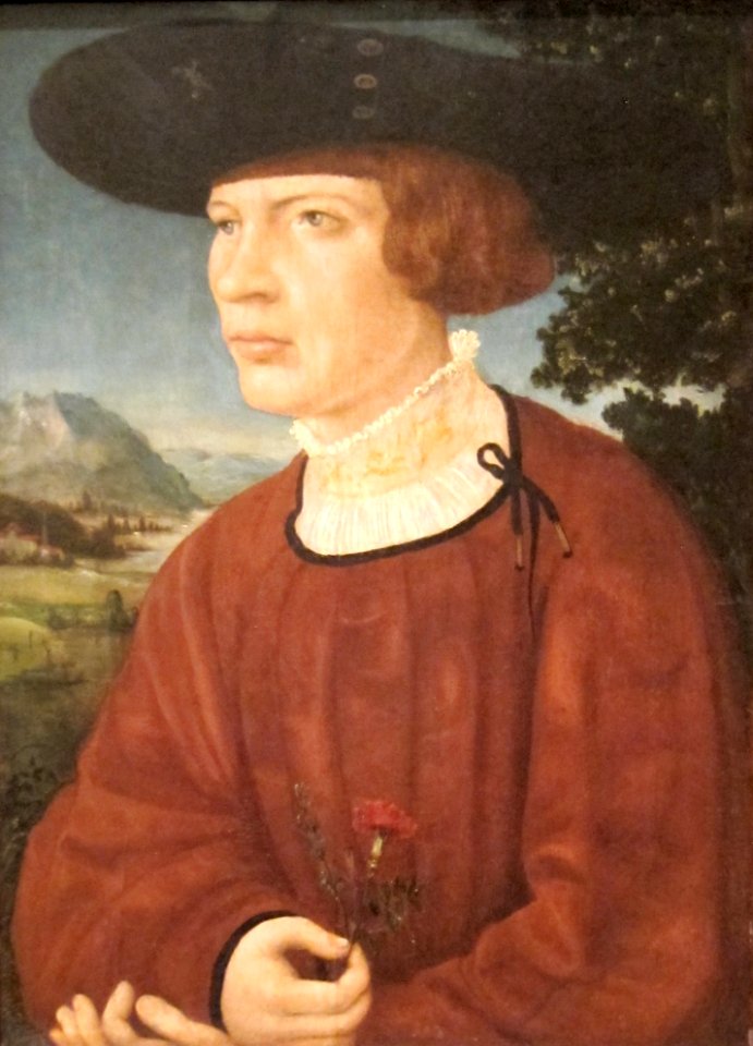 Portrait of a Young Man by Jörg Breu the Elder, San Diego Museum of Art