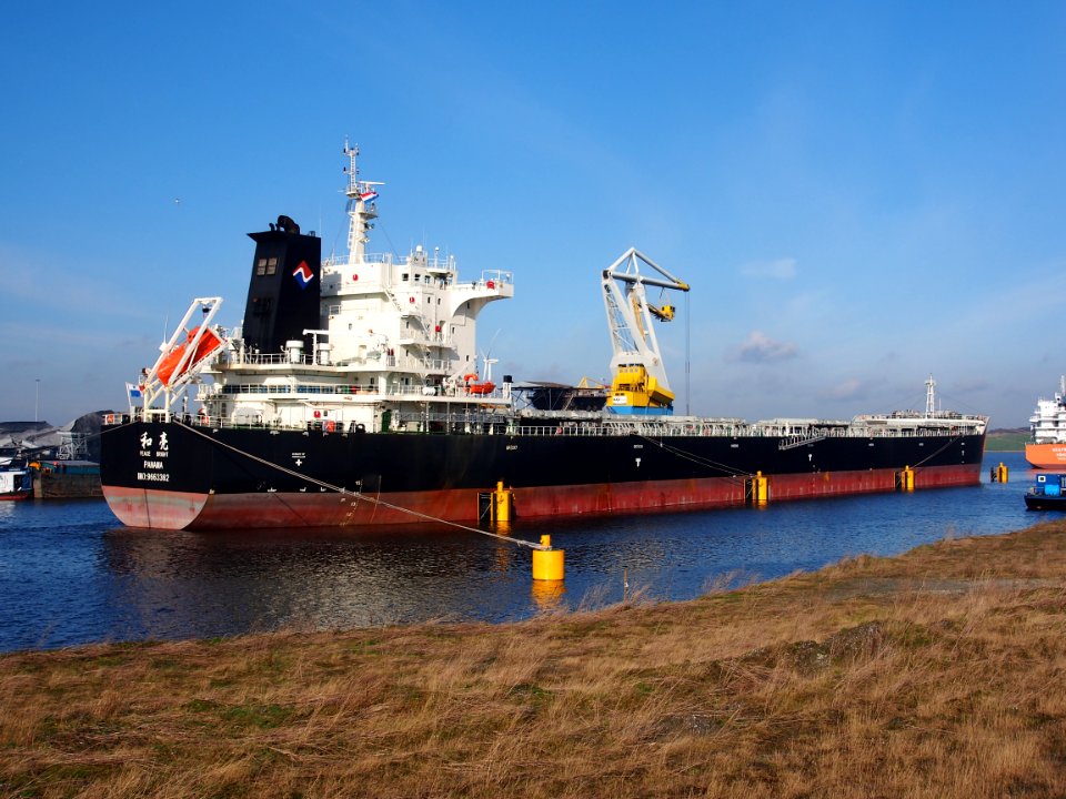 Peace Bright IMO 9663362 at Port of Amsterdam, pic2