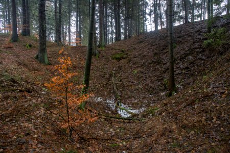 Ponordoline im Igelseeholz 003