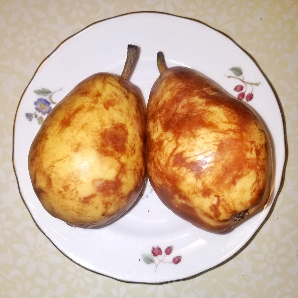 Pears (very ripe) - Massachusetts
