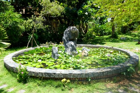 Pool - Trung Hưng Bửu Tòa - Da Nang, Vietnam - DSC02428