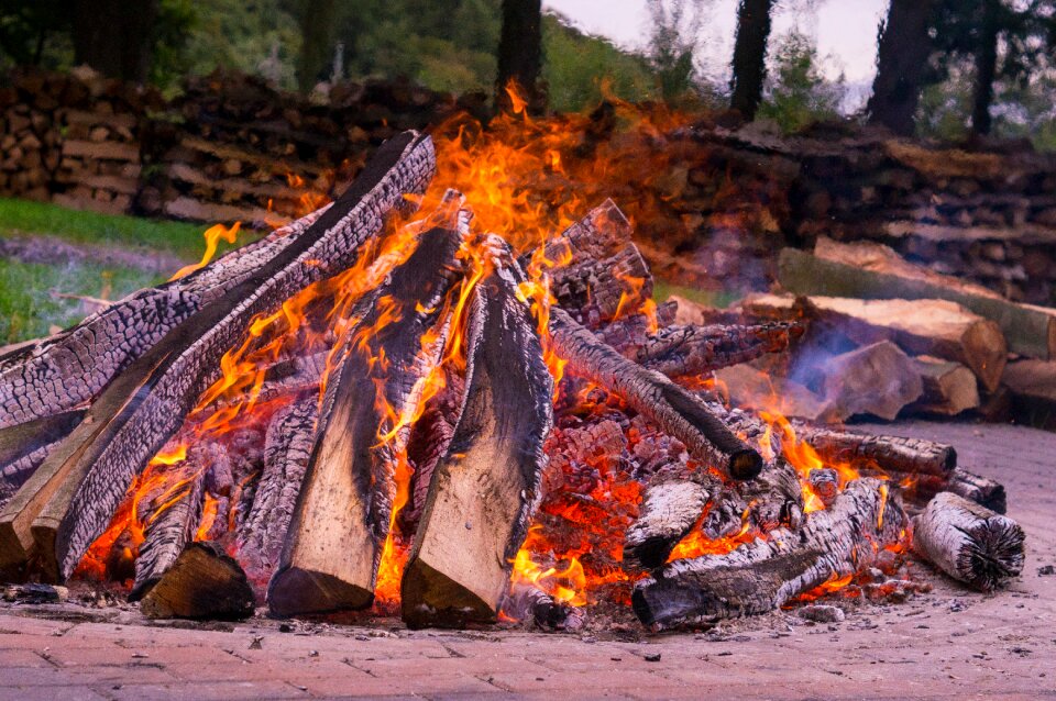 Beech wood potato fire potato roast photo